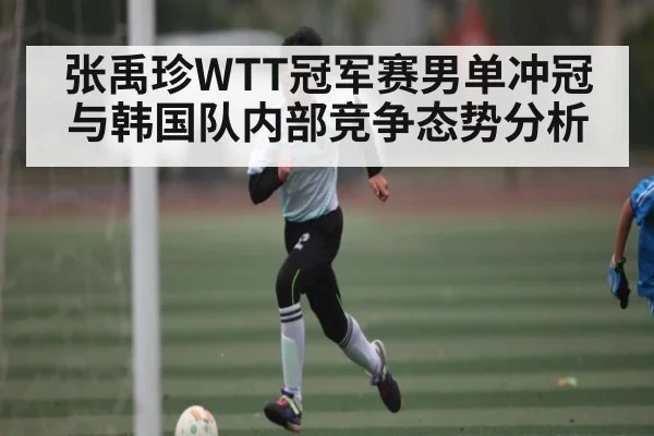 张禹珍WTT冠军赛男单冲冠与韩国队内部竞争态势分析